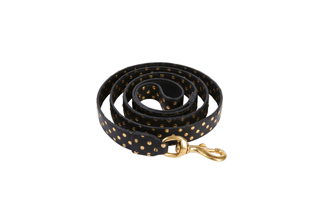 Black &amp; Gold Polka Dot Leash