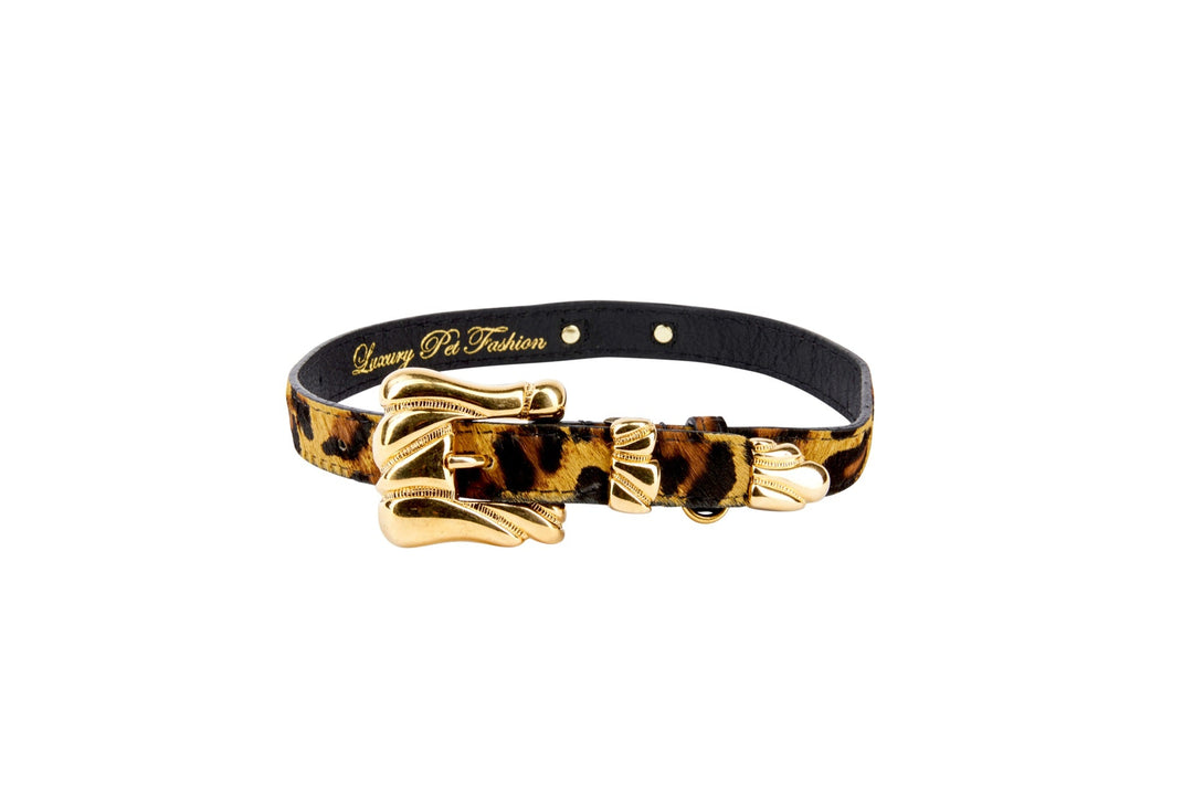 Leopard Print Hair On Hide Italian Leather Collar With Ornate Italian Hardware
