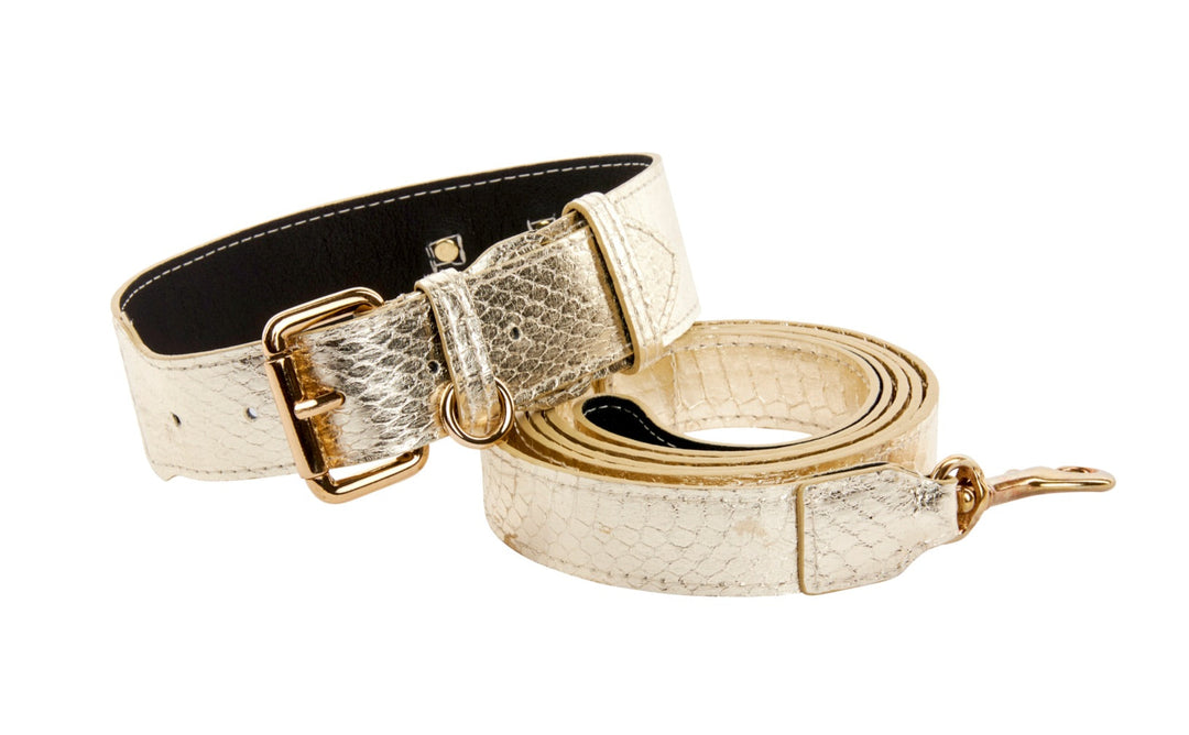 Gold Snake Collar &amp; Leash Set With Classic Hardware