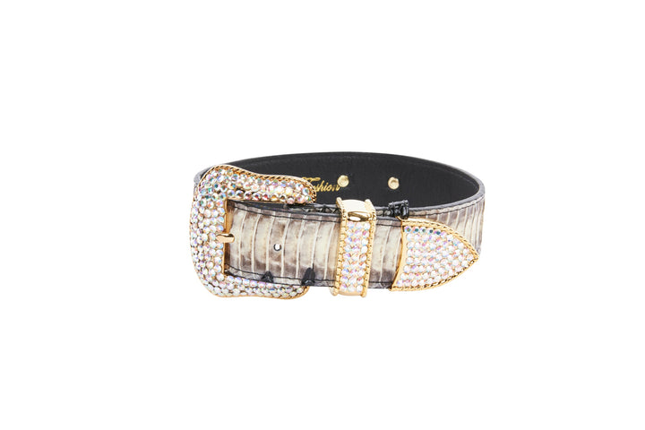 Off White/Black Snake With Gold Swarovski Crystal Hardware Collar &amp; Leash Set