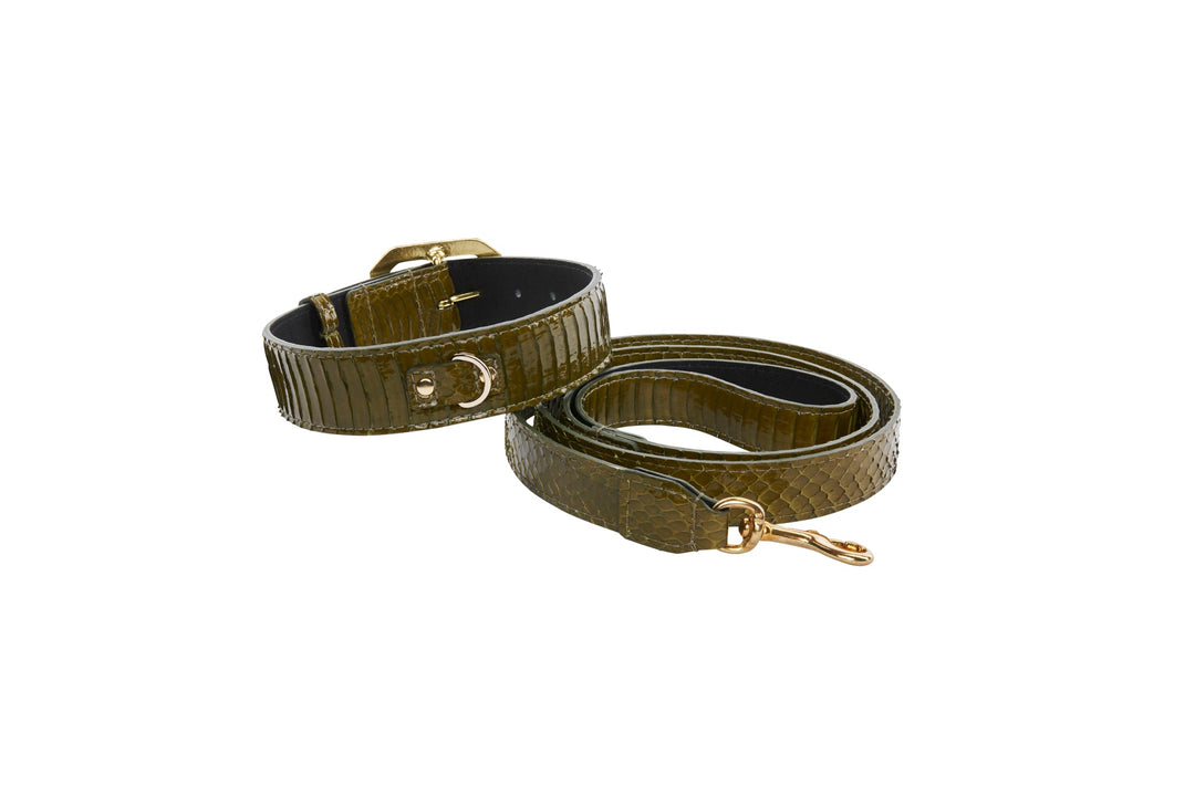 Olive Green Snake Collar &amp; Leash Set