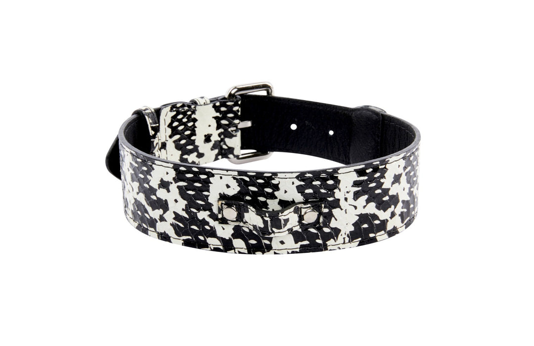 Black &amp; White Snake/Classic Collar With Silver Hardware