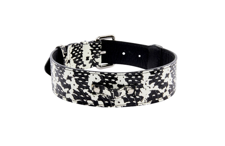 Black &amp; White Snake/Classic Collar With Silver Hardware
