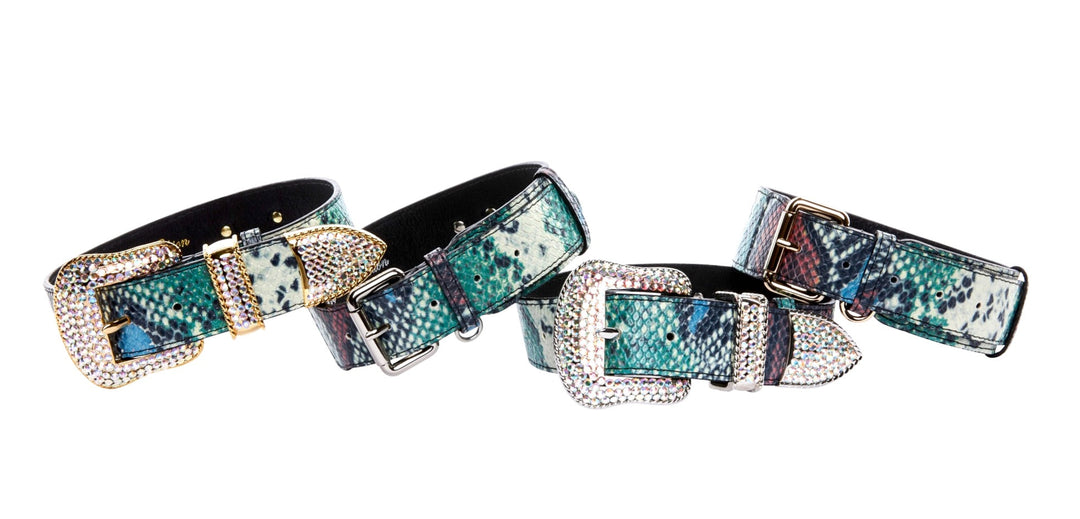 Green, Blue, Black, Red Embossed Snake Italian Leather Collar With Gold Swarovski &amp; Classic Hardware &amp; Gold &amp; Silver Classic Hardware Set Of 4