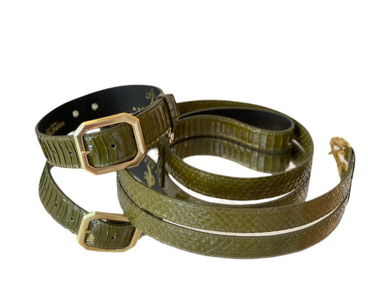 Luxury Pet Fashion Olive Snakeskin Collar &amp; Leash Set