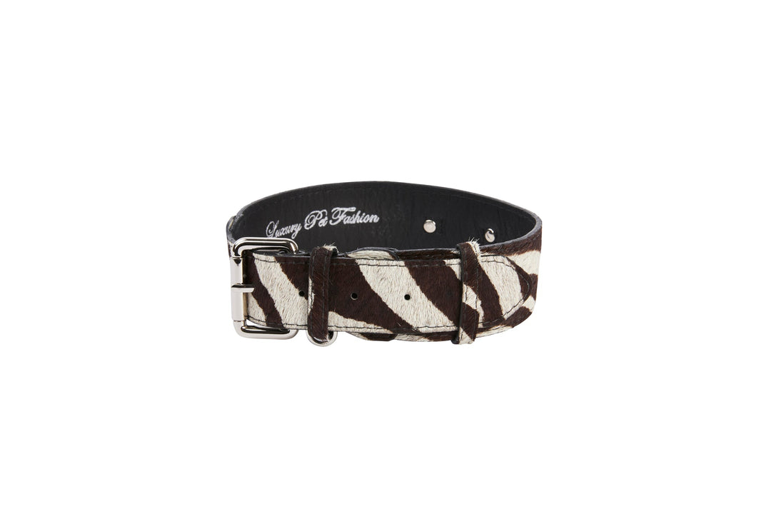 Distressed Brown &amp; White Zebra Print Hair On Hide Classic Collar with Silver Classic Hardware