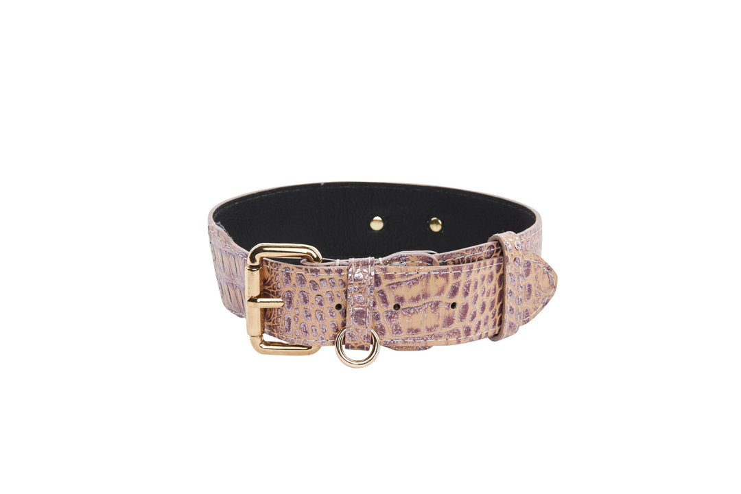 Pink, Purple &amp; Silver Embossed Croc Italian Leather/Classic Collar