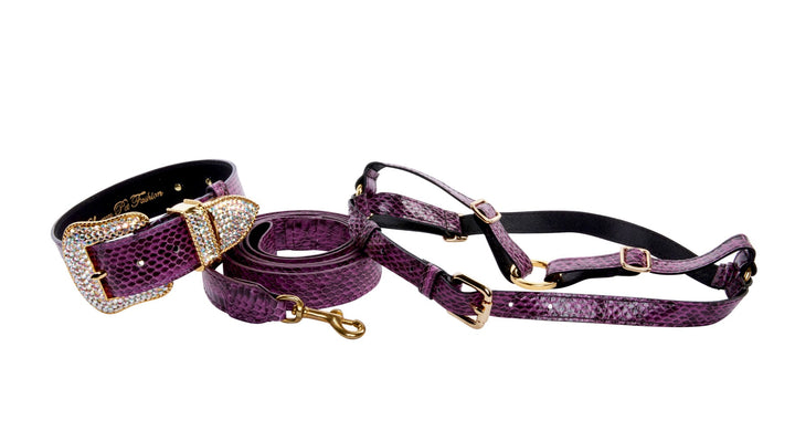 Luxury Pet Fashion Purple &amp; Black Viper Snake Collar With Swarovski Crystal Hardware