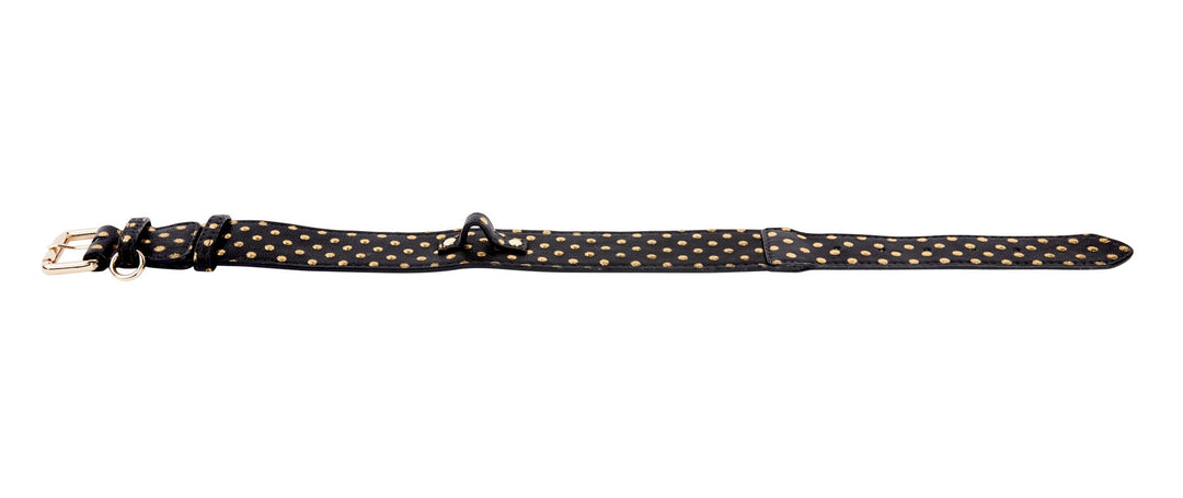 Black &amp; Gold Polka Dot Italian Leather Classic Collar
