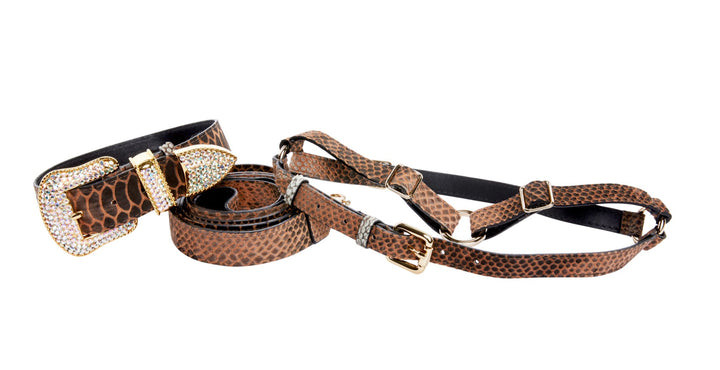 Brown/Black Embossed Snake Italian Leather Collar With Swarovski Crystal Hardware Leash &amp; Harness Set