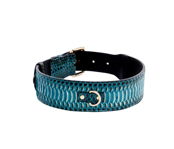 Turquoise, Black Snake Classic Collar With Silver &amp; Gold Classic Hardware Set Of 2
