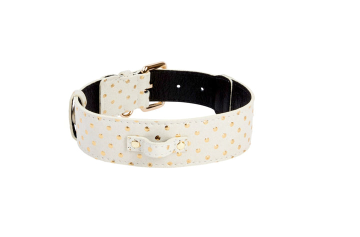 White &amp; Gold Polka Dot Italian Leather Classic Collar