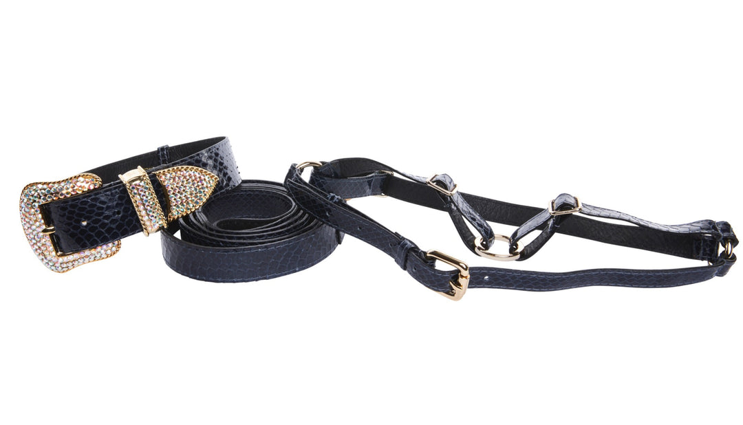 Navy Blue Snake Swarovski Crystal Hardware Collar, Leash, &amp; Harness Set
