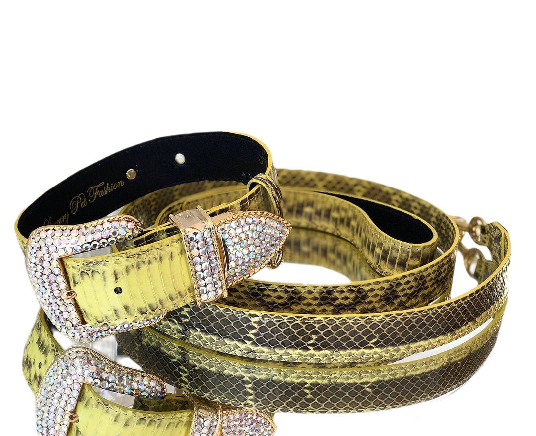 Luxury Pet Fashion Soft Yellow &amp; Black Snakeskin Collar &amp; Leash Set With Our Swarovski Crystal Hardware.