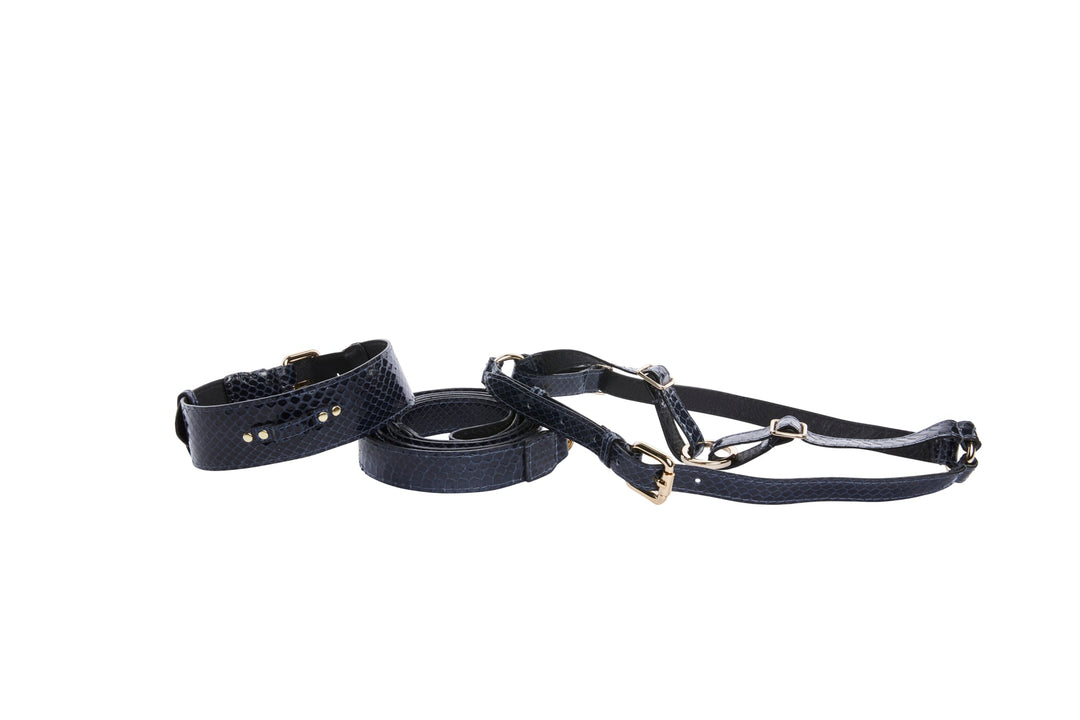 Navy Blue Snake Classic Hardware Collar, Leash, &amp; Harness Set