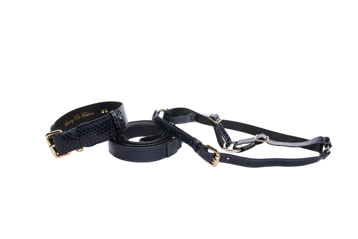 Navy Blue Snake Classic Hardware Collar, Leash, &amp; Harness Set