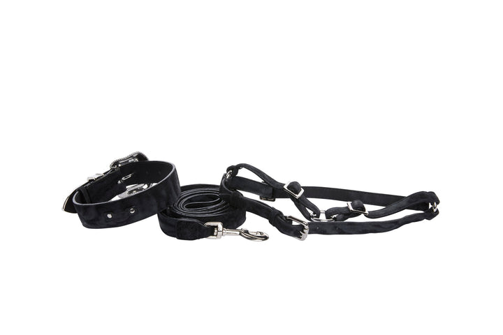 Black &amp; Dark Navy Blue Glamorous, Classic Italian Leather With Silver Swarovski Hardware Collar, Leash, Harness, Set