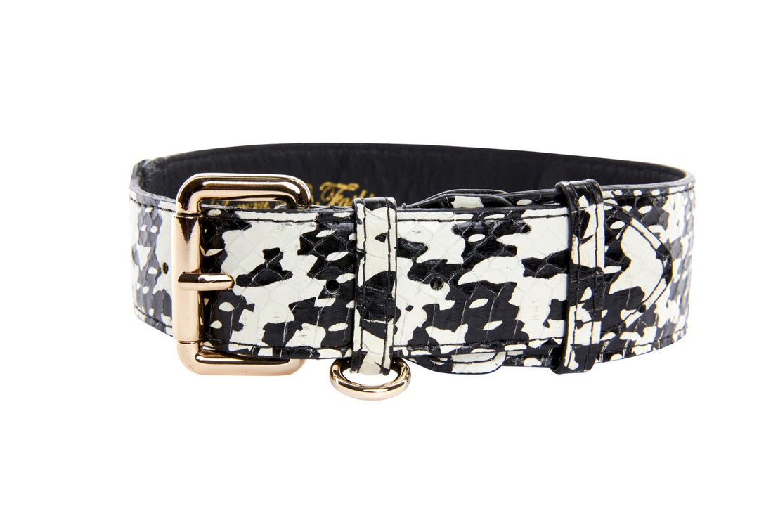 Black &amp; White Snake Collar With Classic Gold Hardware
