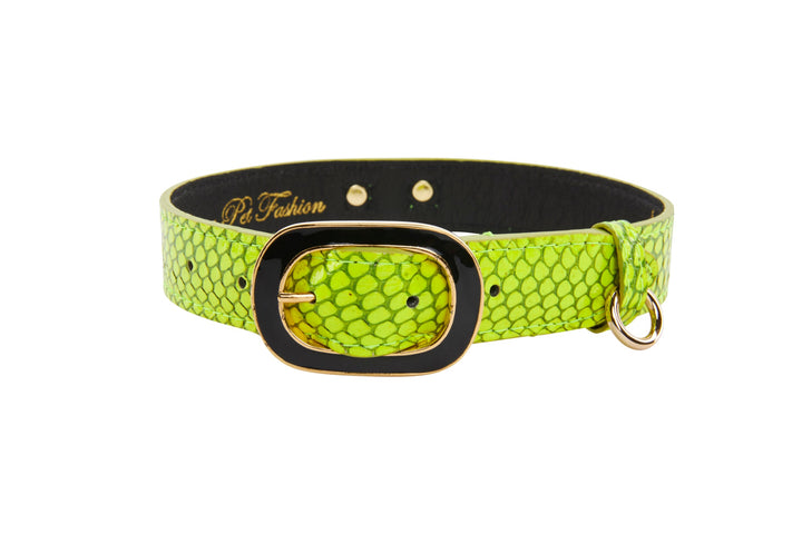 Neon Green Snake/Vintage Black &amp; Gold Italian HardwareCollar