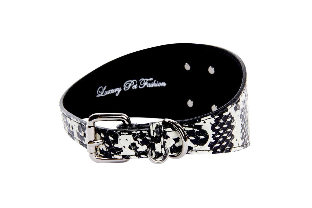 Black &amp; White Snake Wide Style 3”Collar With Large Silver Rivet