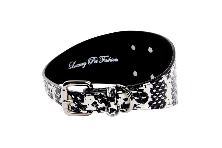 Black &amp; White Snake Wide Style 3”Collar With Large Silver Rivet