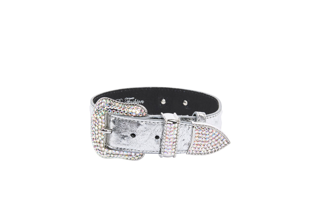 Silver Studded Italian Leather Collar, Leash Harness Set