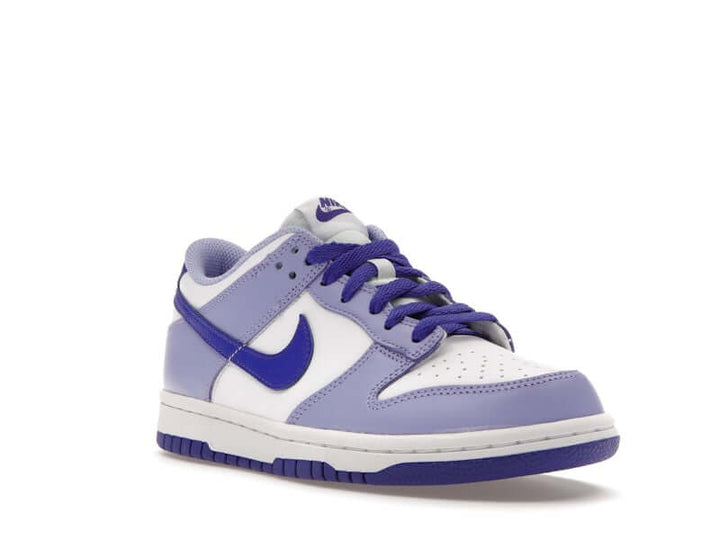 Nike Dunk Low Blueberry (GS)