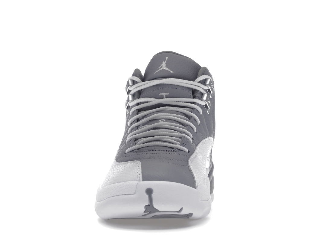 Air Jordan Retro 12 Stealth