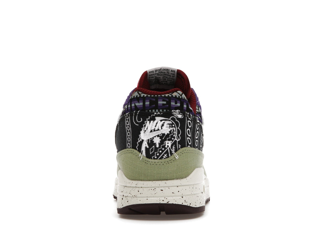 Nike Air Max 1 SP "Concepts Mellow"