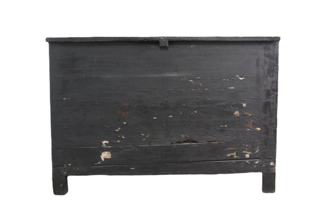 Mongolia Antique Trunk Cabinet