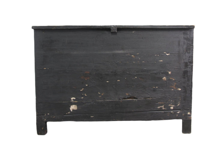 Mongolia Antique Trunk Cabinet