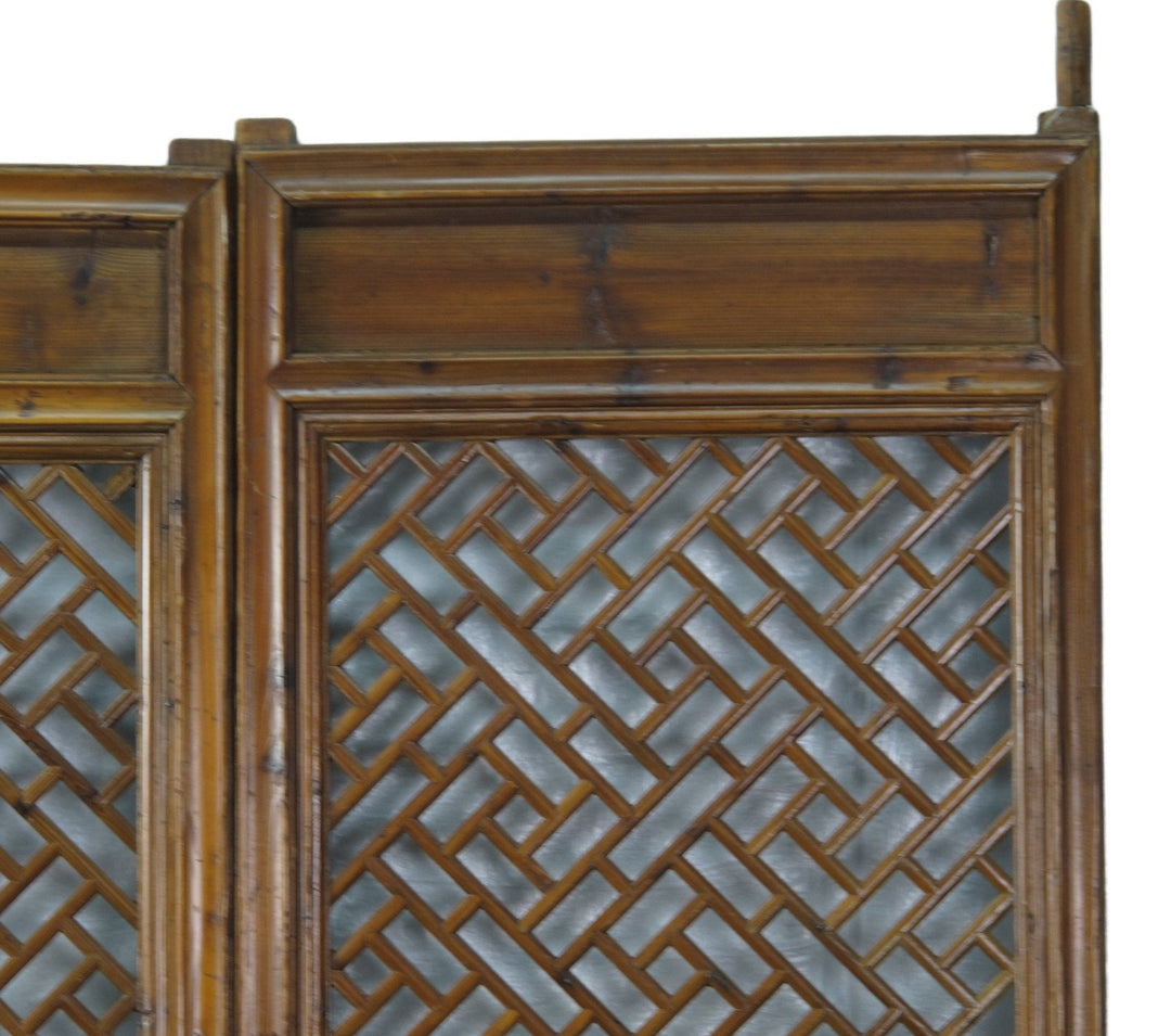 Pair of Screen Door