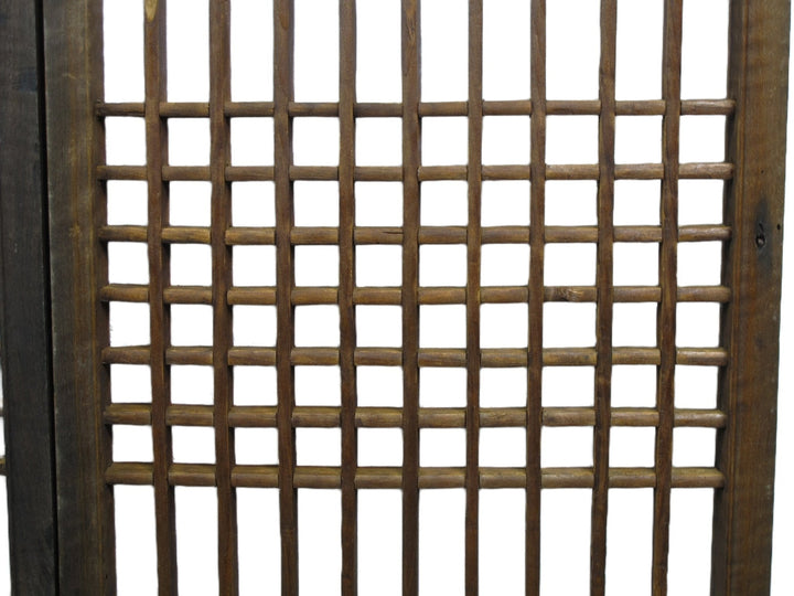 Pair of Vintage Chinese Latticed Screen Panel 6