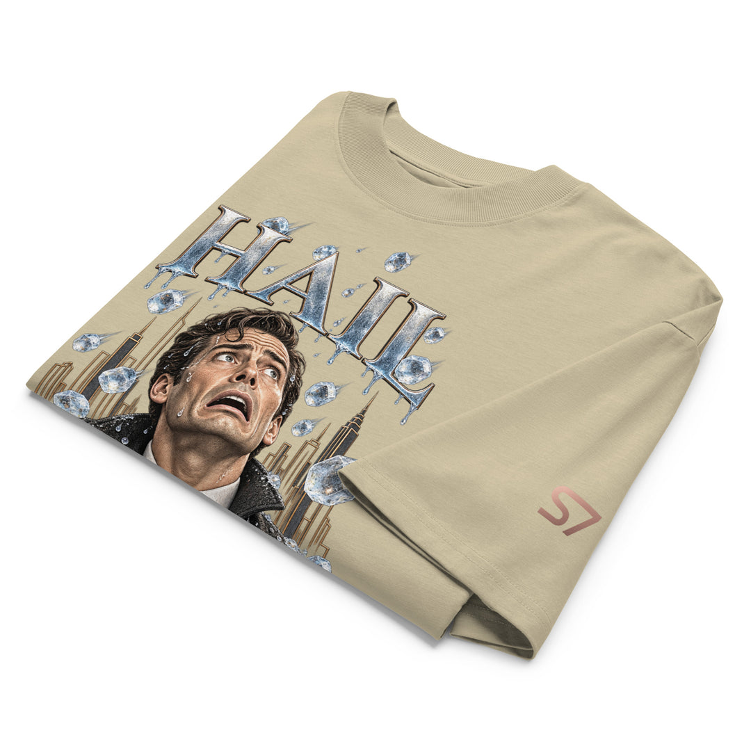 HAIL OR HIGH WATER Big City T-Shirt | S7
