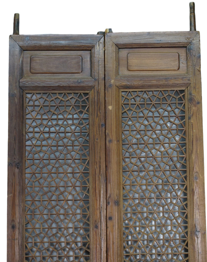 Pair of Hexagonal Screen Door Panel